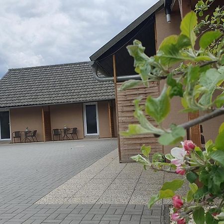 Apartmany Dolosin Velké Losiny エクステリア 写真
