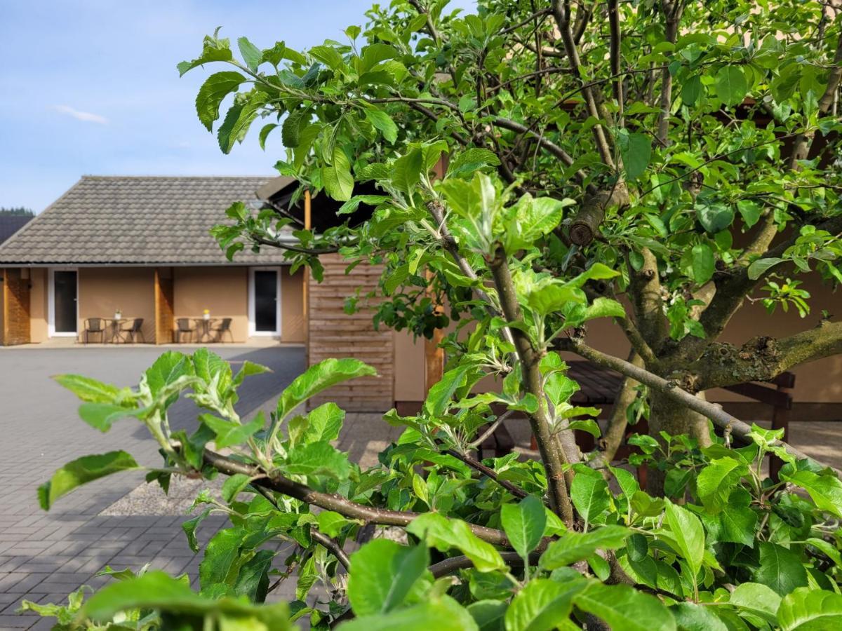 Apartmany Dolosin Velké Losiny エクステリア 写真